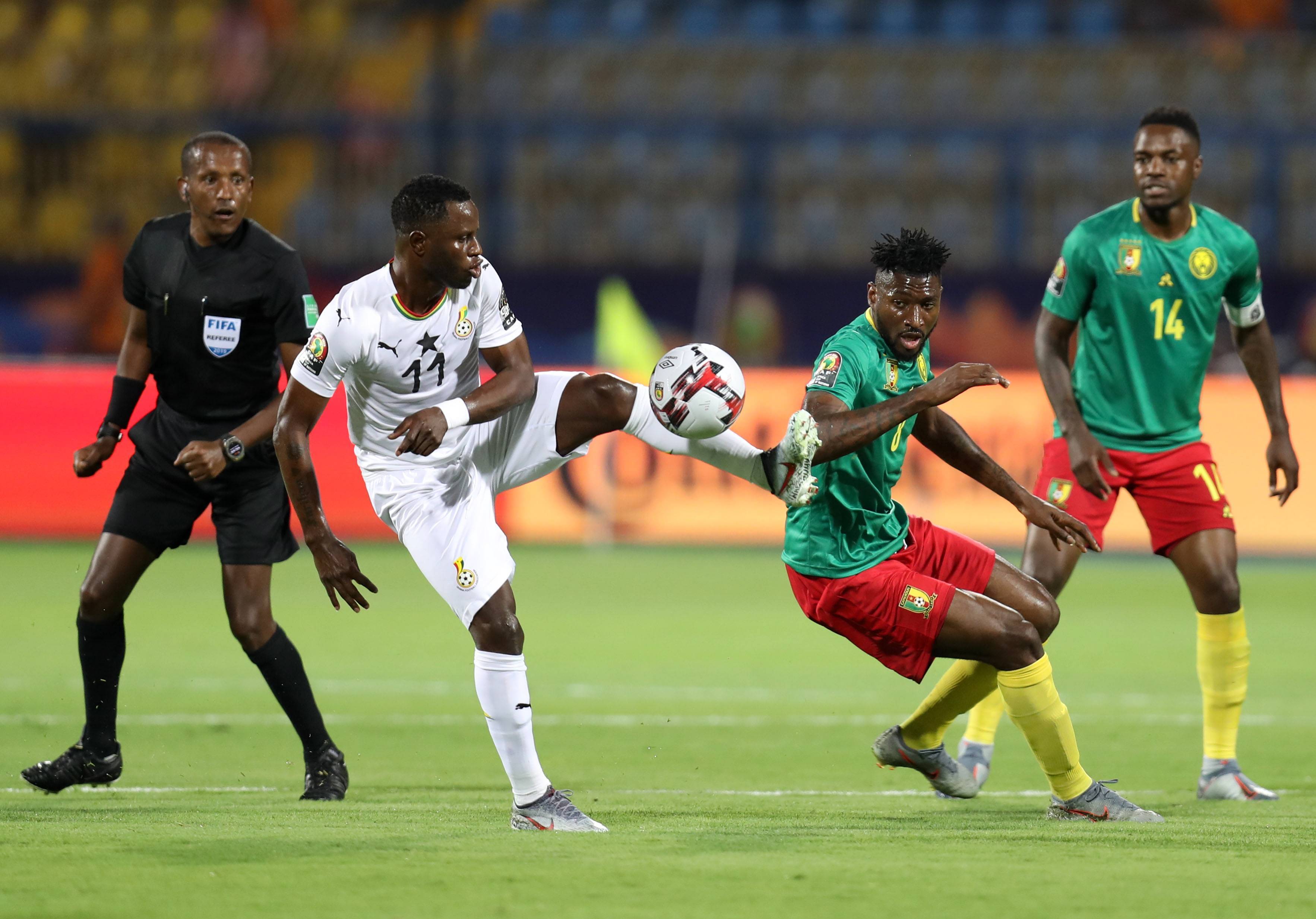 当地的自然 当地的自然