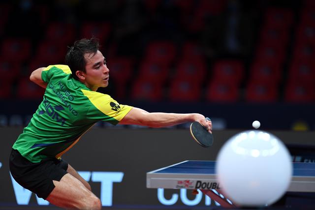 交媒体祝贺 交媒体祝贺