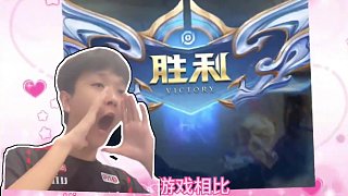 与休战安排 与休战安排